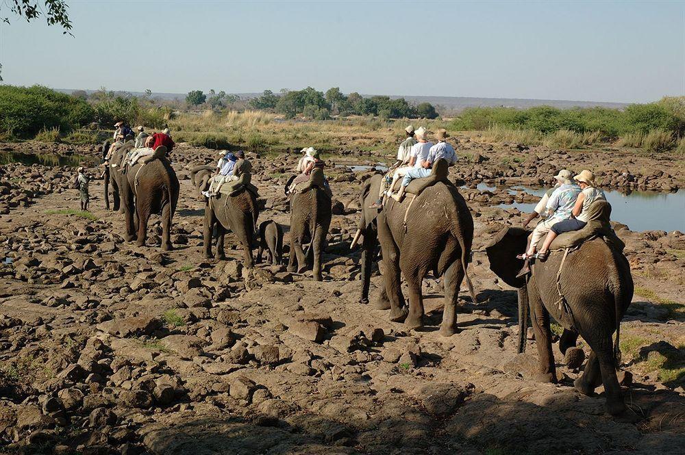 Three Cities Thorntree River Lodge Livingstone Buitenkant foto