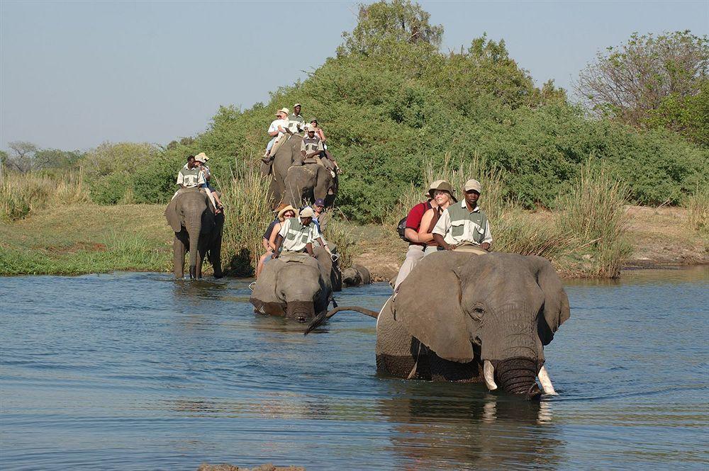 Three Cities Thorntree River Lodge Livingstone Buitenkant foto
