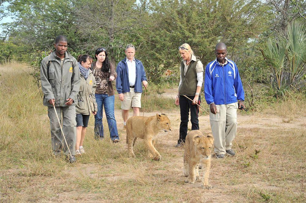 Three Cities Thorntree River Lodge Livingstone Buitenkant foto
