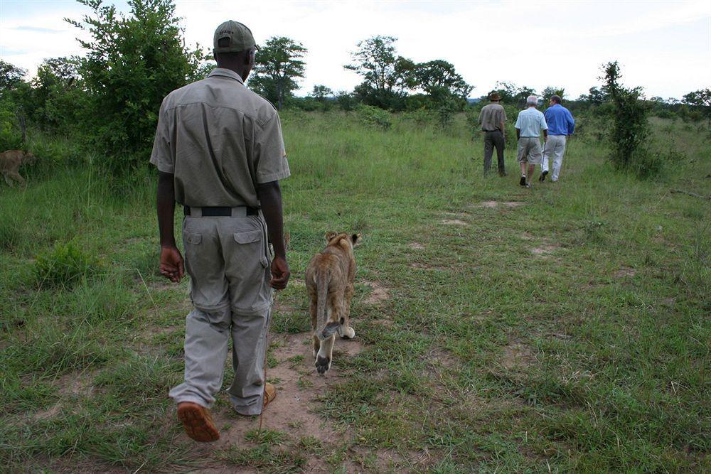 Three Cities Thorntree River Lodge Livingstone Buitenkant foto