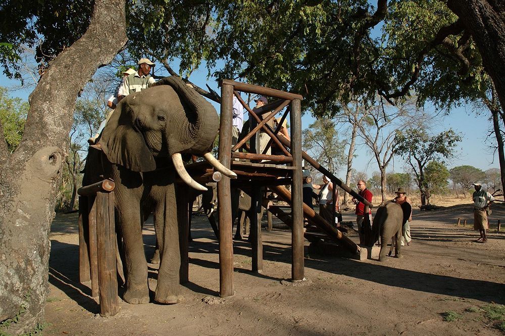 Three Cities Thorntree River Lodge Livingstone Buitenkant foto