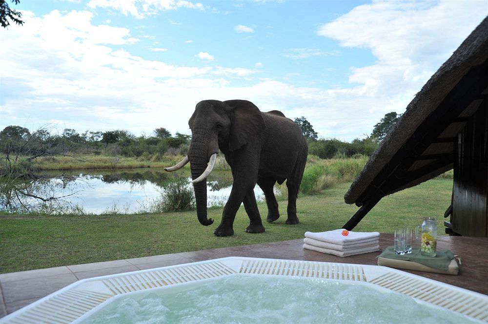 Three Cities Thorntree River Lodge Livingstone Buitenkant foto